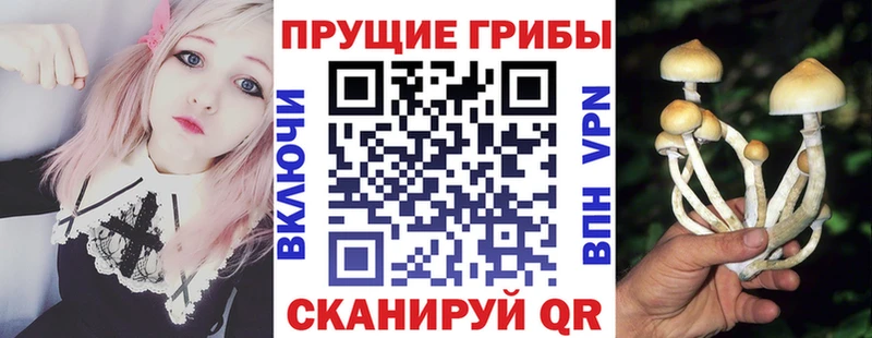Псилоцибиновые грибы Magic Shrooms  Таганрог 