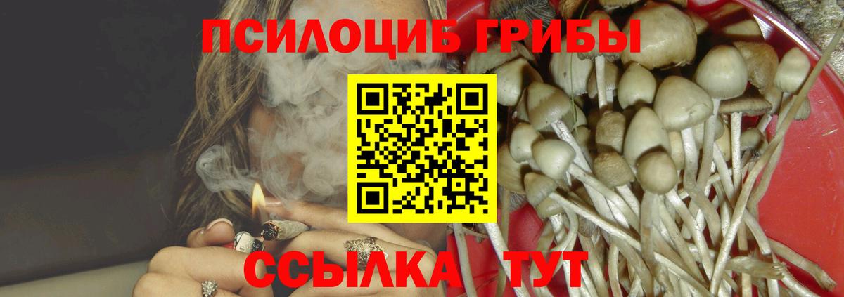 Псилоцибиновые грибы прущие грибы Таганрог